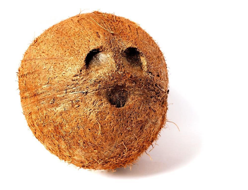 coconut face